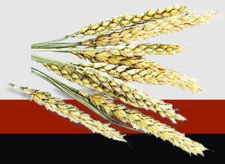 人生就是搏·(中国区)官方网站