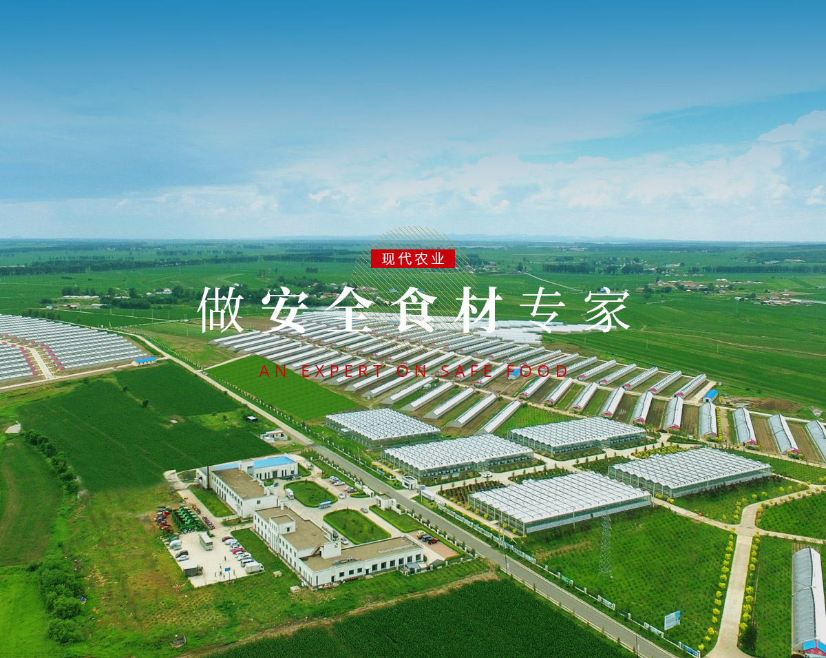 banner5_p9615812 俄罗斯·专享会294VIP(中国区)官方网站