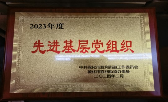 2024年2月1日，物业总公司敦化项目党支部被授予“2023年度先进基层党组织”荣誉称号_副本.jpg