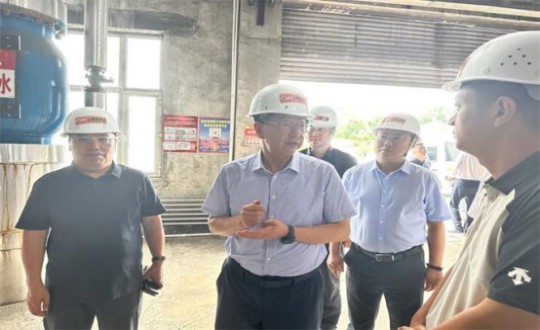 14.伊通满族自治县县委书记孙立阳一行领导莅临俄罗斯专享会294VIP官方网站供热总公司伊通供热分公司第二热源厂开展调研（不够清晰，帮忙调整）_副本.jpg