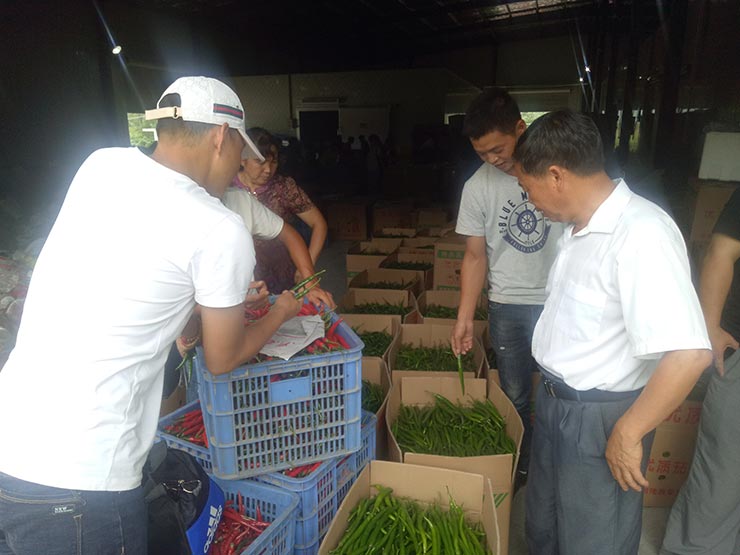 人生就是搏·(中国区)官方网站