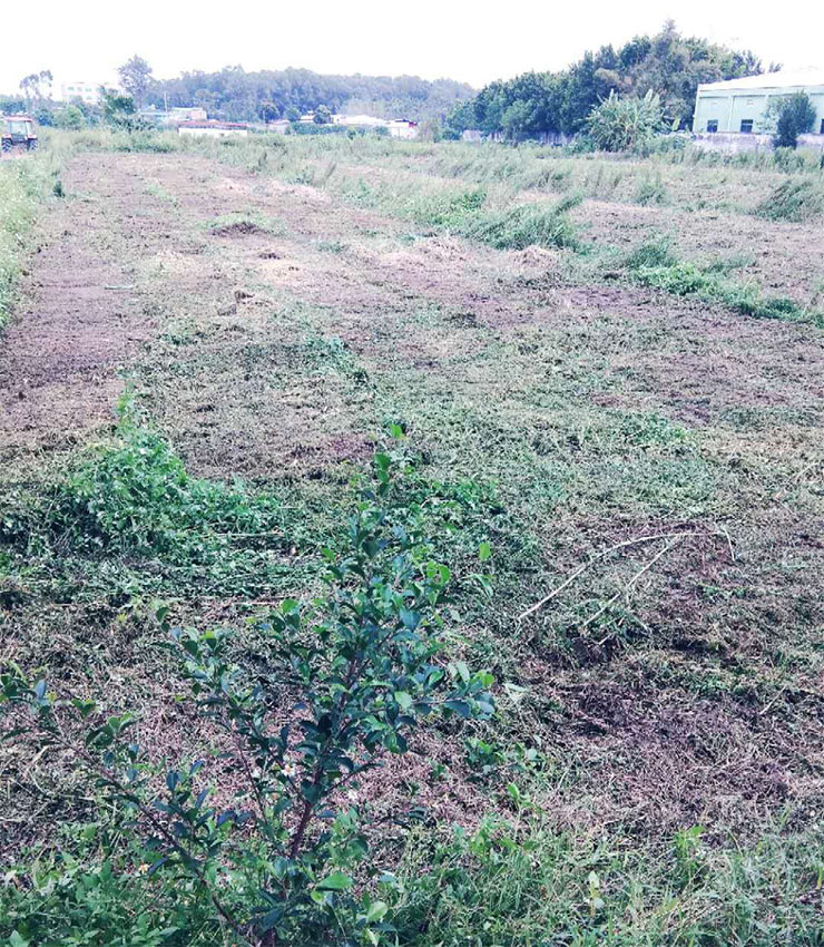 人生就是搏·(中国区)官方网站