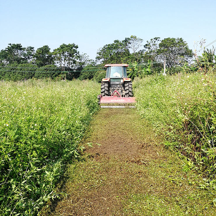人生就是搏·(中国区)官方网站