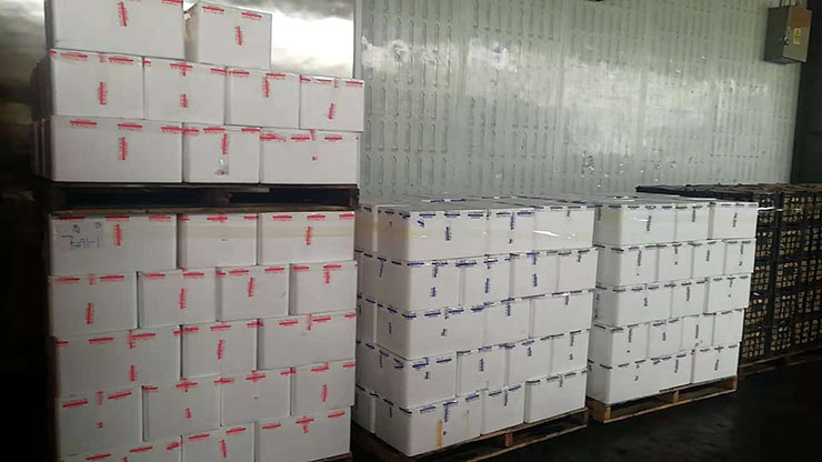 人生就是搏·(中国区)官方网站