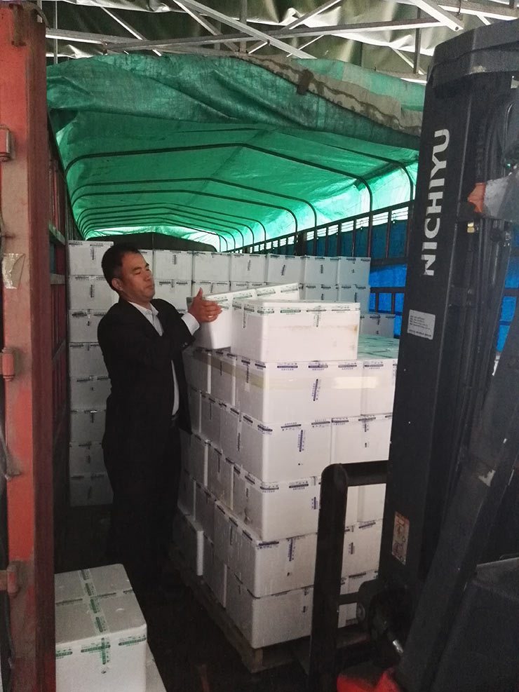 人生就是搏·(中国区)官方网站