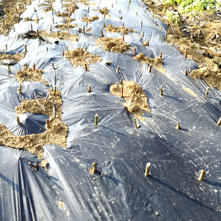 人生就是搏·(中国区)官方网站