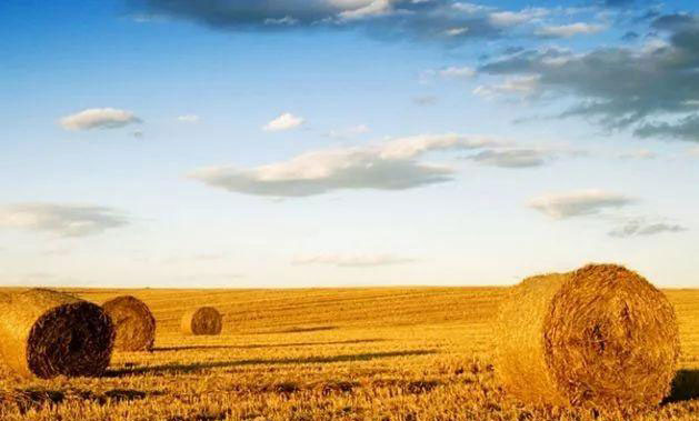 人生就是搏·(中国区)官方网站