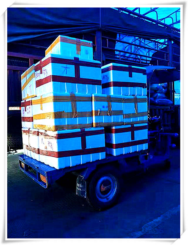 人生就是搏·(中国区)官方网站