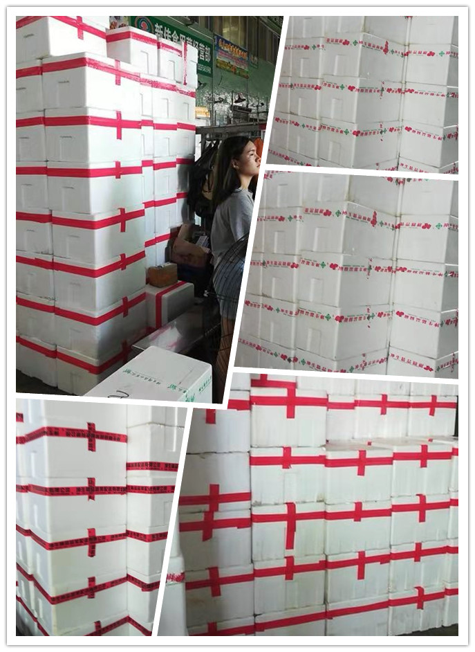 人生就是搏·(中国区)官方网站