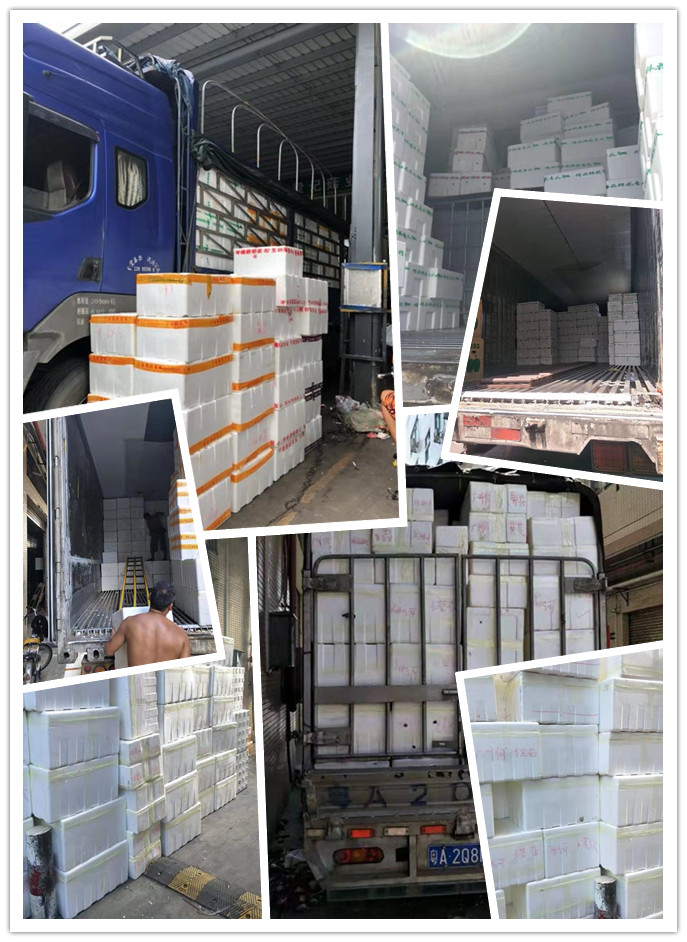 人生就是搏·(中国区)官方网站