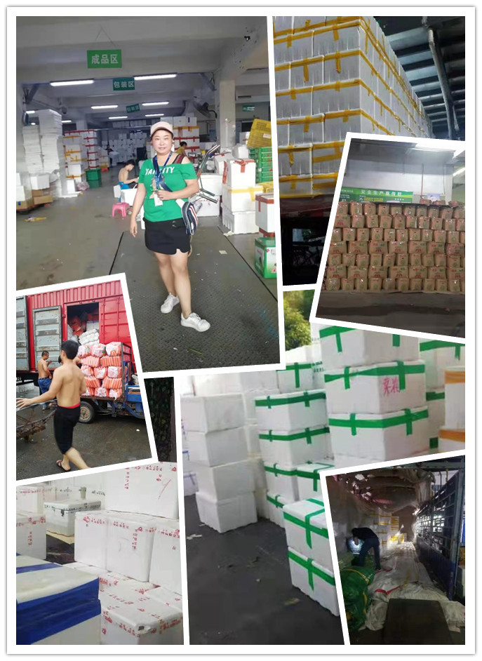 人生就是搏·(中国区)官方网站