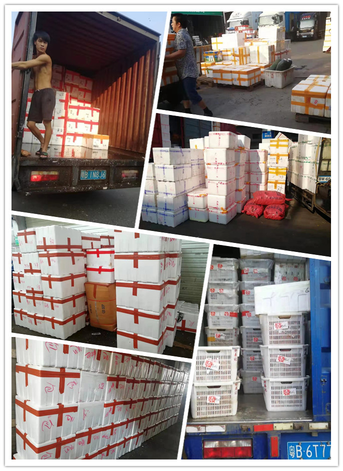 人生就是搏·(中国区)官方网站