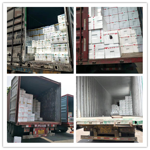 人生就是搏·(中国区)官方网站