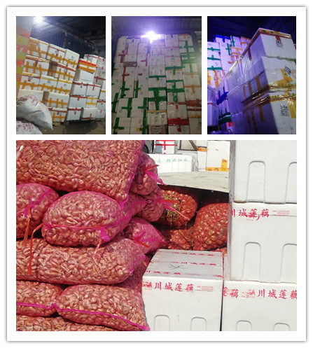 人生就是搏·(中国区)官方网站