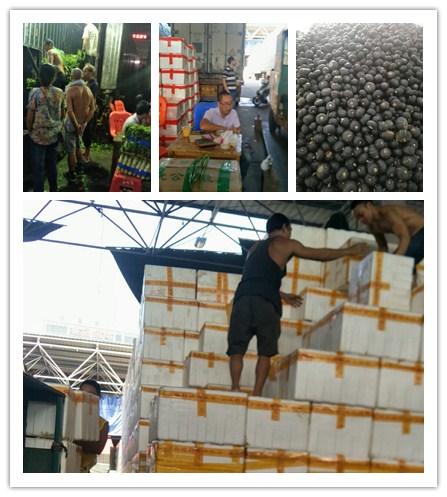 人生就是搏·(中国区)官方网站