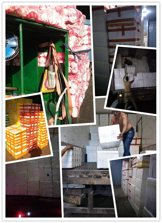 人生就是搏·(中国区)官方网站