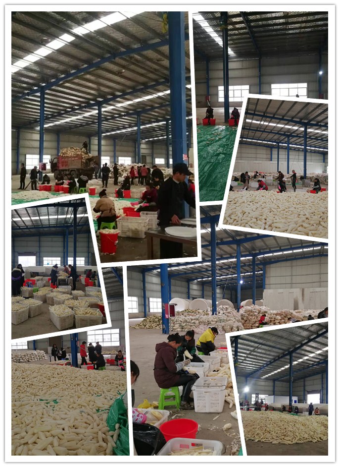 人生就是搏·(中国区)官方网站