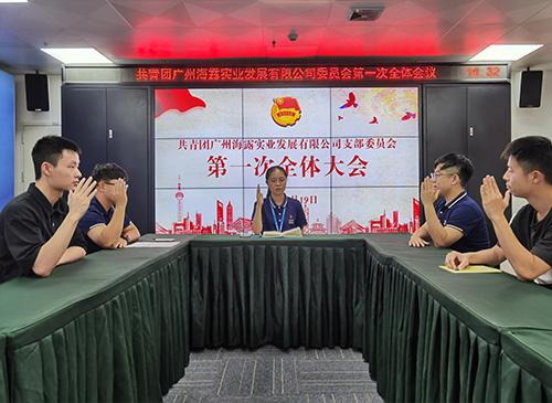 凝聚青春奋斗力量，集团团支部正式成立！