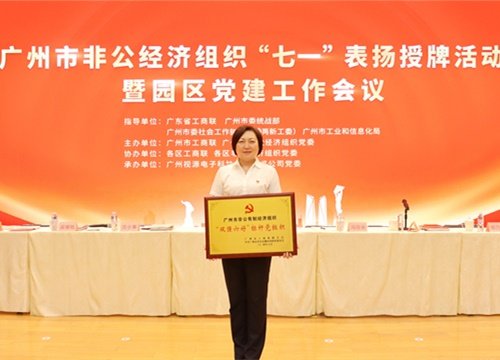标杆引领，荣誉升级！集团党支部荣膺广州市非公有造经济组织“双强六好”标